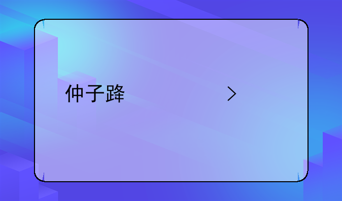 仲子路公司简介