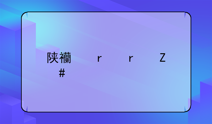 陕西省最新案件
