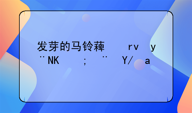 发芽的马铃薯真的不能随便吃