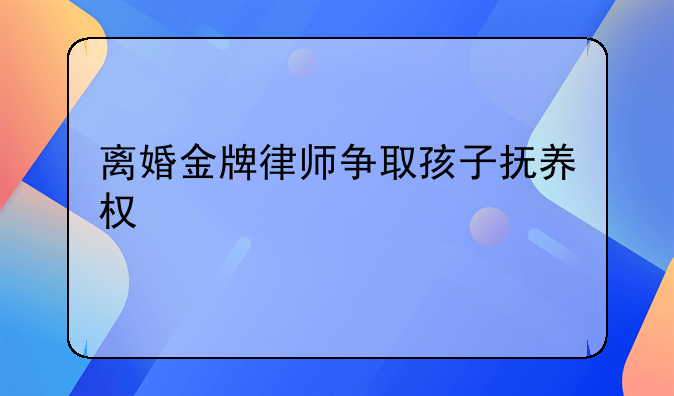 离婚金牌律师争取孩子抚养权