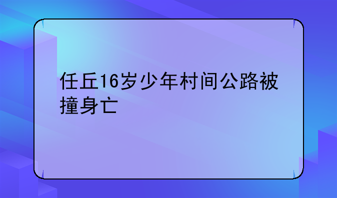 任丘16岁少年村间公路被撞身亡