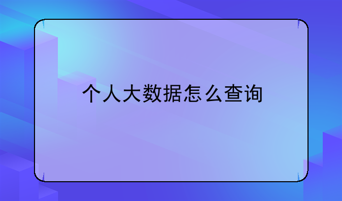 个人大数据怎么查询