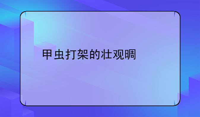 甲虫打架的壮观景象