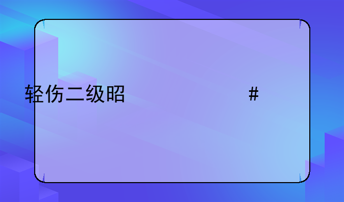 轻伤二级是什么概念