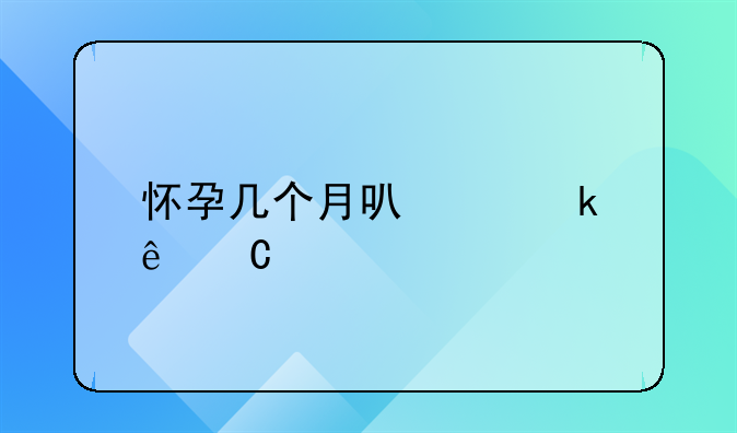 怀孕几个月可以做亲子鉴定