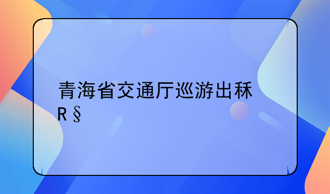 青海省交通厅巡游出租甩客