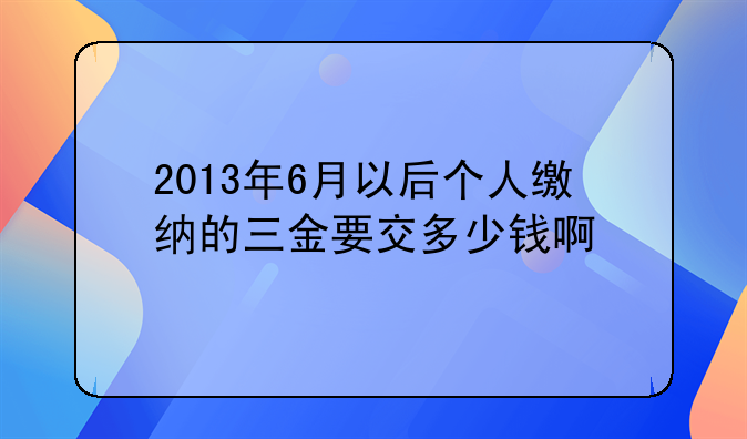 2013年6月以后个人缴纳的三金要交多少钱啊
