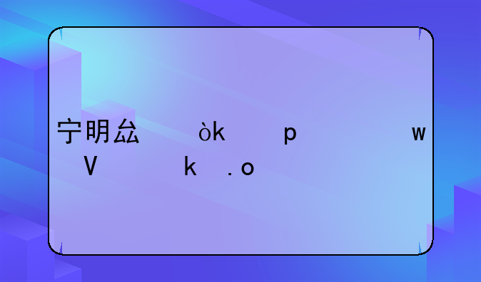宁明县：“3个+”畅通招才引智“凤凰路”