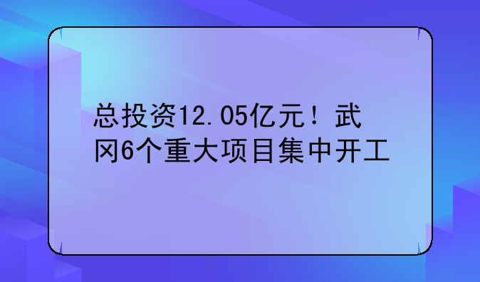 总投资12.05亿元！武冈6个重大项目集中开工