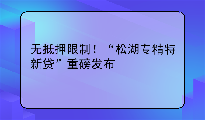 无抵押限制！“松湖专精特新贷”重磅发布