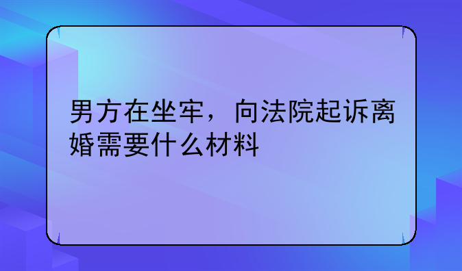男方在坐牢，向法院起诉离婚需要什么材料