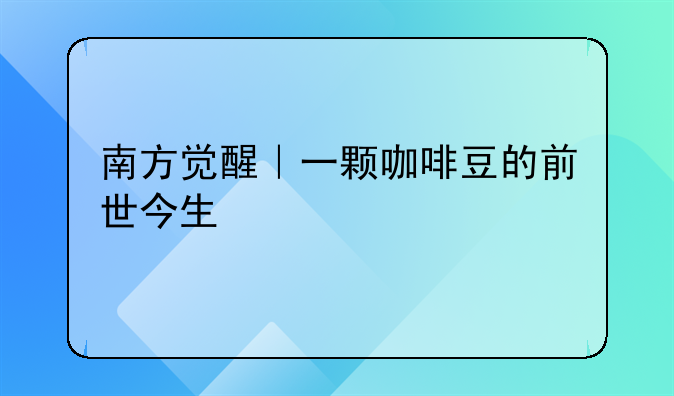 南方觉醒｜一颗咖啡豆的前世今生