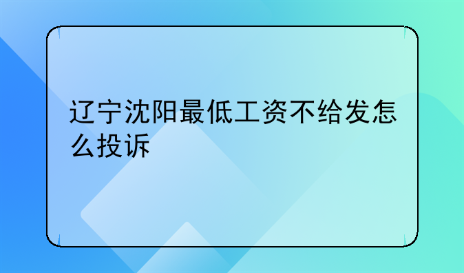 辽宁沈阳最低工资不给发怎么投诉