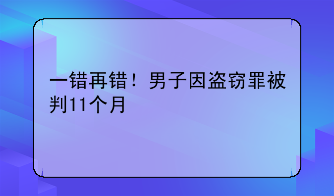 一错再错！男子因盗窃罪被判11个月