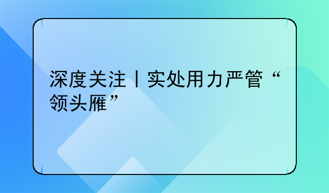 深度关注丨实处用力严管“领头雁”