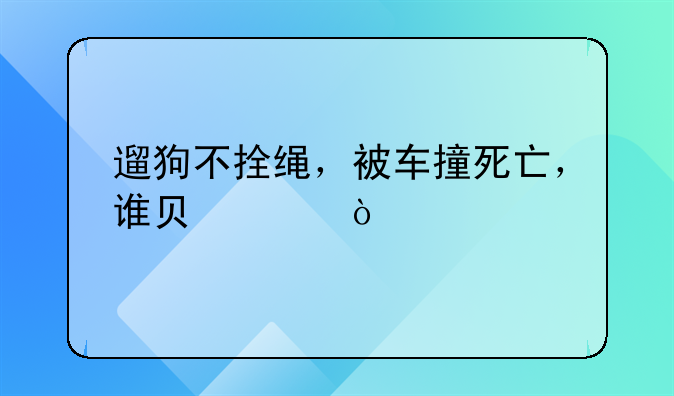 遛狗不拴绳，被车撞死亡，谁负责？