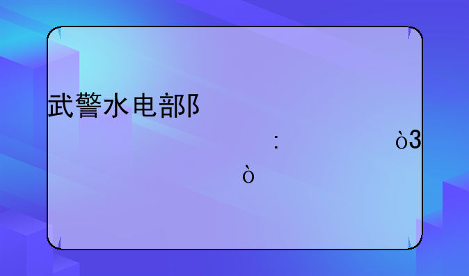 武警水电部队全部退出现役，转为央企