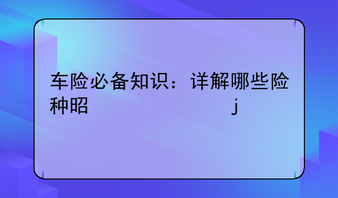 车险必备知识：详解哪些险种是必买的