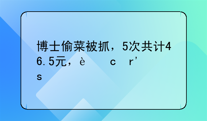博士偷菜被抓，5次共计46.5元，还有“前科”