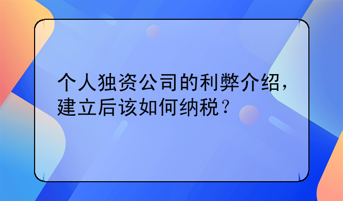 个人独资公司的利弊介绍，建立后该如何纳税？