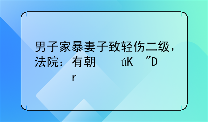 男子家暴妻子致轻伤二级，法院：有期徒刑10个月