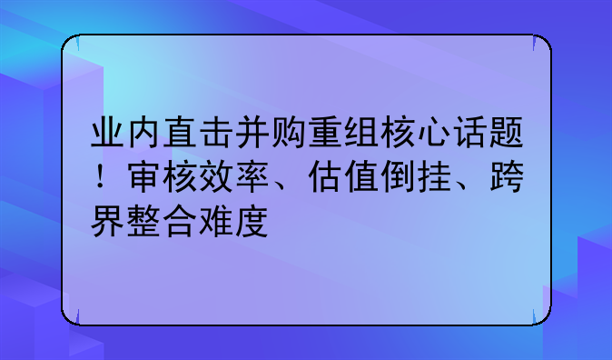 业内直击并购重组核心话题！审核效率、估值倒挂、跨界整合难度