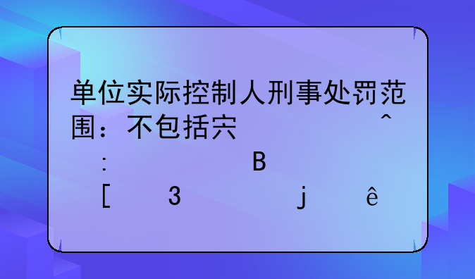 单位实际控制人刑事处罚范围：不包括宏观间接管理决策行为的人