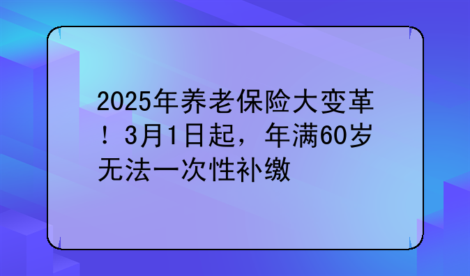 2025年养老保险大变革！3月1日起，年满60岁无法一次性补缴