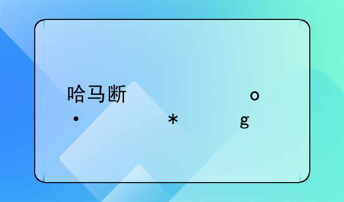哈马斯称以军袭击加沙物资分发点致35死，以军：暂不知情