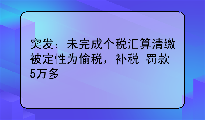 突发：未完成个税汇算清缴被定性为偷税，补税+罚款5万多
