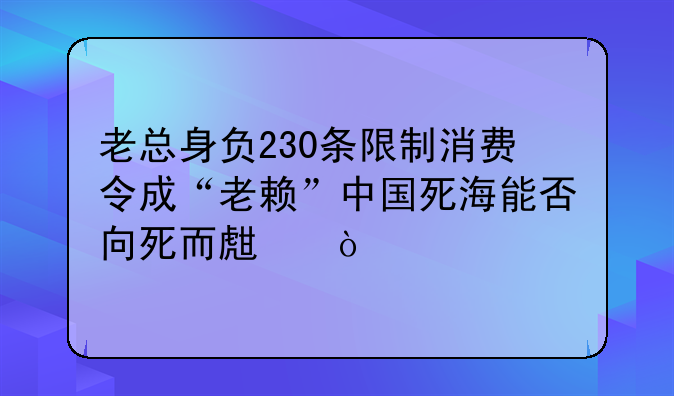 老总身负230条限制消费令成“老赖”中国死海能否向死而生？