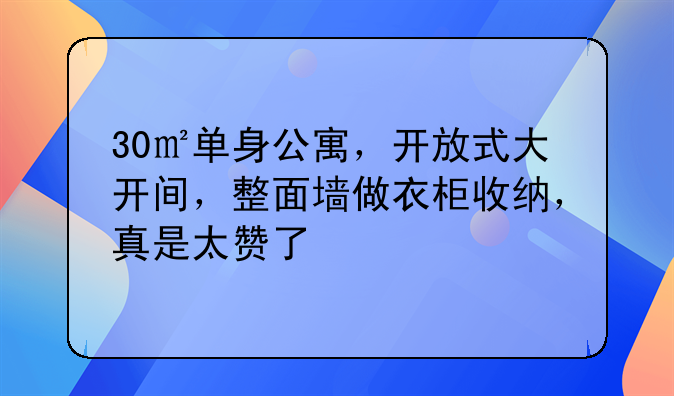 30㎡单身公寓，开放式大开间，整面墙做衣柜收纳，真是太赞了