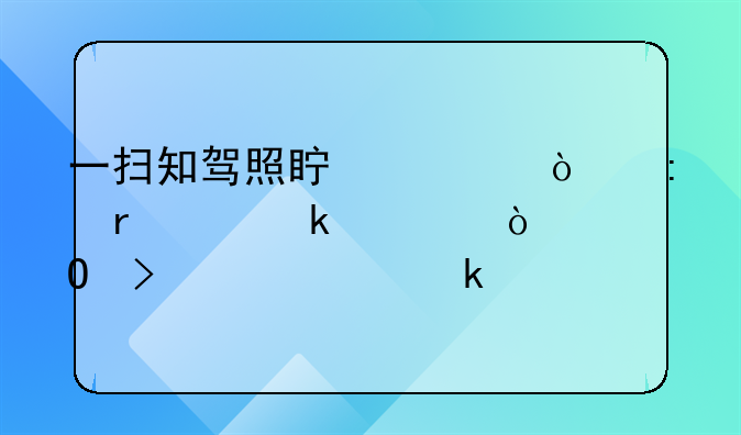一扫知驾照真假！现场交罚款！桓台交警交通执法再添“神器”